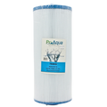 A cylindrical ProAqua pool filter cartridge with white pleated media and blue end caps, featuring a white and blue product label in the center.