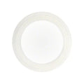 2" Union Gasket with Ribbed O-Ring on a white background
