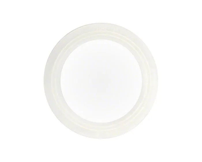 2" Union Gasket with Ribbed O-Ring on a white background