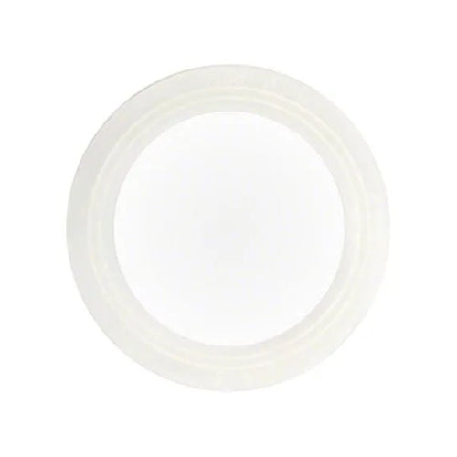 2" Union Gasket with Ribbed O-Ring on a white background